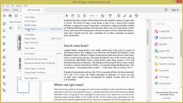 How to Delete Blank Page from a PDF File with Adobe Acrobat Pro 2020 смотреть онлайн