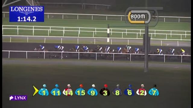 10.01.2013 Meydan (Dubai-UAE) 4.Race Longines Prima Luna - 1.900 m смотреть онлайн