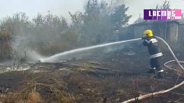 11.08.2021. Пожар в СНТ Металлург локализован. смотреть онлайн