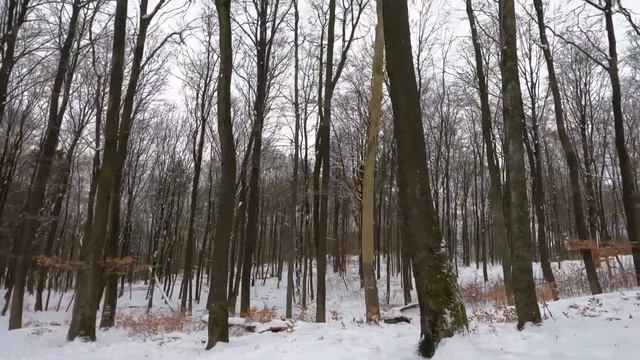 Зимний бомжинг #2: Фельзенмеер смотреть онлайн