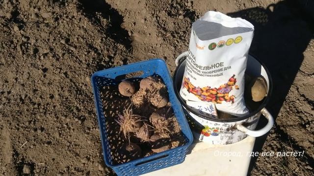 319. Что можно посеять и посадить в июле смотреть онлайн