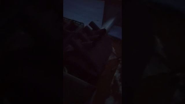 В Краснодарском крае уже цветет жимолость, малина и фундук смотреть онлайн