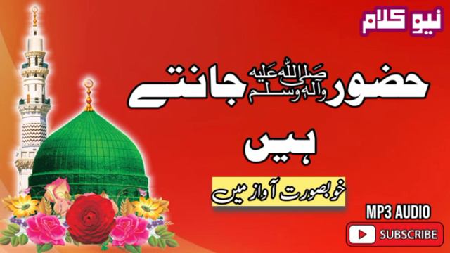 hudood taire sidra huzoor jante hain || حضور جانتے ہیں || New Naat 2013 #naatproduction смотреть онлайн