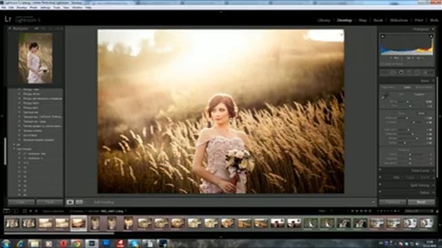 Илья Двояковский МК Цветокоррекция и тонирование в Lightroom 2020 смотреть онлайн