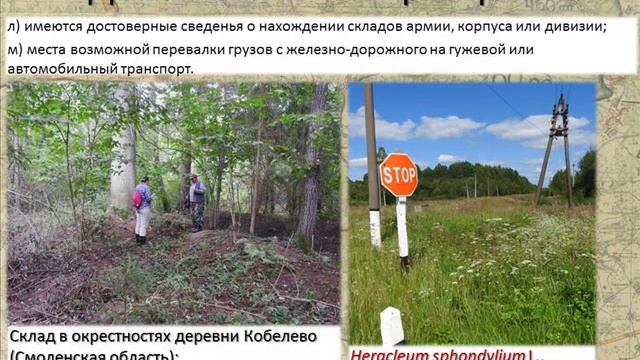 Алгоритм поиска видов-полемохоров в условиях Центральной России смотреть онлайн