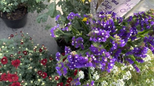Осенняя Садовая Ярмарка с нашими Знаменитыми Цветочницами! смотреть онлайн