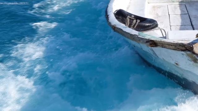 Субботний Стих - Есть люди, которые - птицы смотреть онлайн