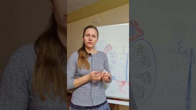 Вопрос-ответ: "Отекает лицо после сна" смотреть онлайн