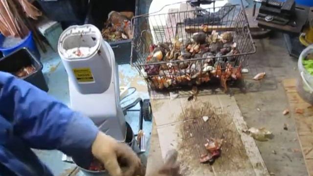 БГВ 14 Чёрная Львинка моё самое слезливое видео