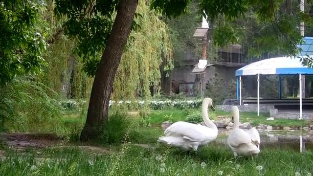 ТАКАЯ РАЗНАЯ ЛЮБОВЬ смотреть онлайн