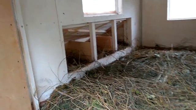 Курятник на 8-10 куриц 3м*2м. смотреть онлайн