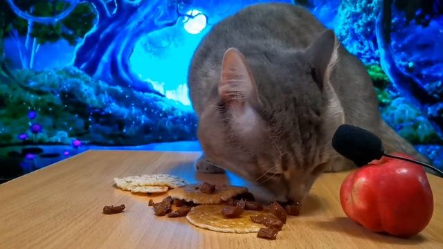 Русские блины.Russian pancakes. смотреть онлайн