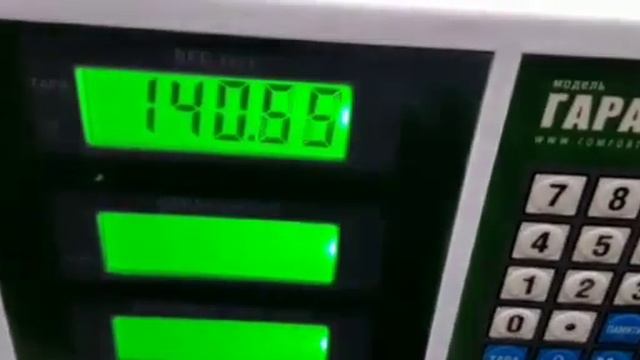 Голодание 36/8 смотреть онлайн