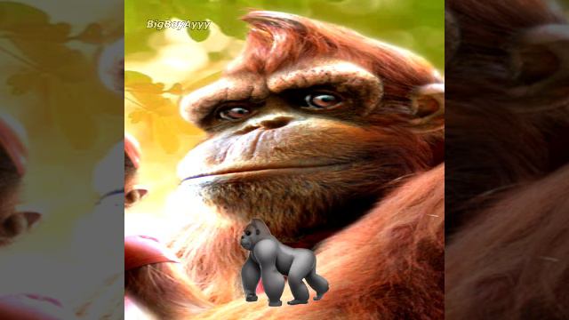 hey donkey kong do you know candice смотреть онлайн