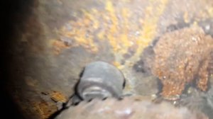 ЗАМЕНА ПЕРЕДНЕГО ЗАДНЕНО  ABS ДАТЧИКА на AUDI A6 C4