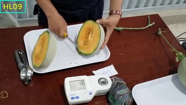 10 TOP SWEETEST MUSKMELON (CANTALOUPE) VARIETIES смотреть онлайн