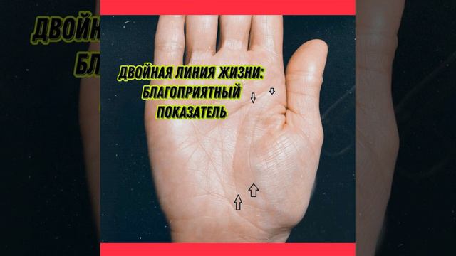 Двойная линия жизни смотреть онлайн