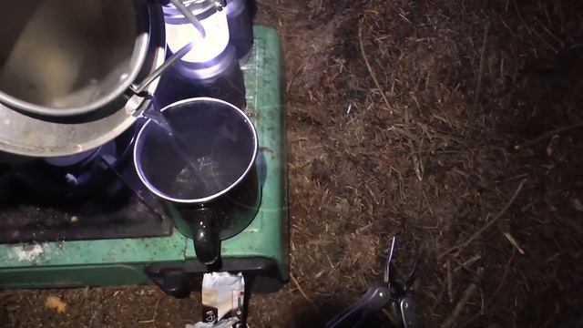 Solo wild camp in the spooky forest смотреть онлайн