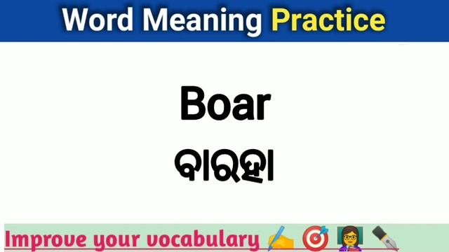 ? B ରୁ ଆରମ୍ଭ 100+ word ର Odia meaning | spoken english words odia | English Odia vocabulary смотреть онлайн