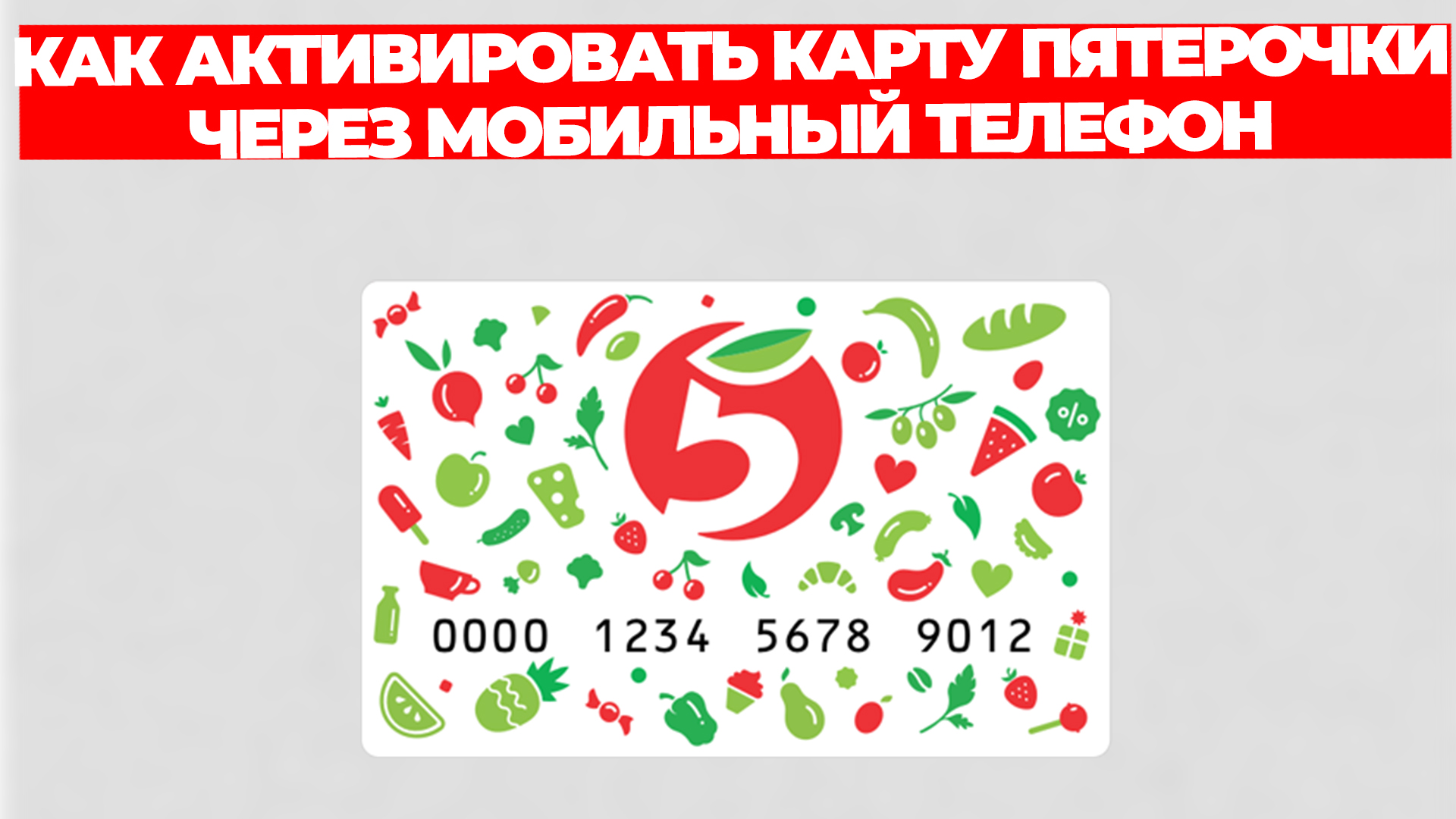 Всезнающий Енот