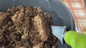 Как приготовить грунт из почвобрикета для посадки семян на рассаду