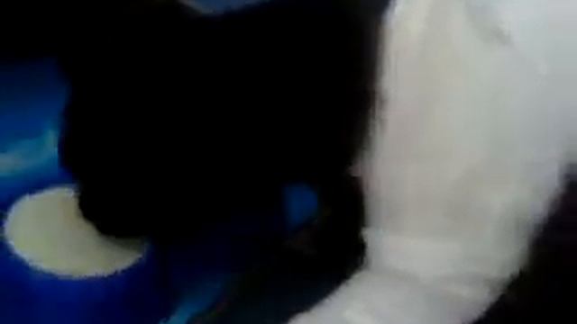 Бег в гипсе (Runs to eat) смотреть онлайн