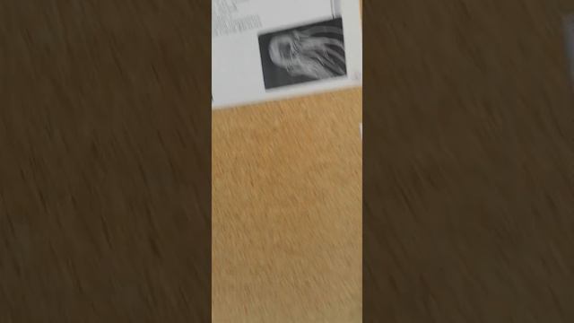 ШОК ВИДЕО, СЛАБОНЕРВНЫМ НЕ СМОТРЕТЬ Доска в школе смотреть онлайн