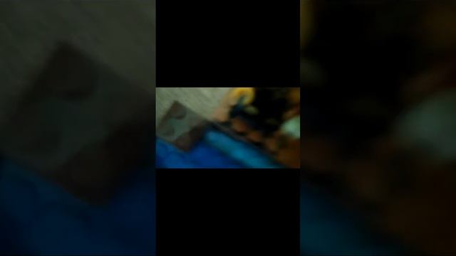 а ты хочешь на пляже отдыхать кто поставить больше лайков такое подпишусь бро #legoDanya смотреть онлайн