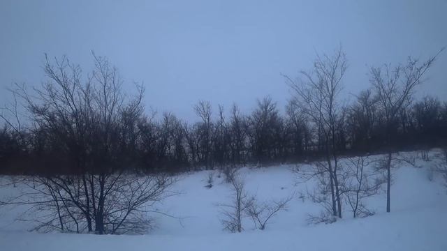 Охота на зайца с русскими гончими 2022г 1 смотреть онлайн