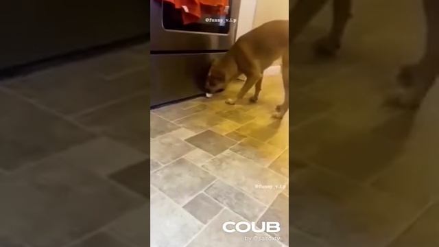 приколы - к успеху шол смотреть онлайн