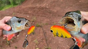 Перепробовал все приманки! Косит рыбу только эта! Рыбалка на тейл-спиннер!