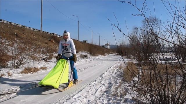 Dog Racer 2018 смотреть онлайн