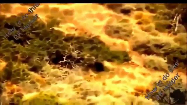 Most Amazing Wild Animal Attacks 2016 Pitbull vs wild boar Lion,Animal Attack People,Humans смотреть онлайн