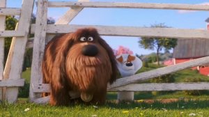 Макс и Дюк приезжают к Ковбою(Тайная Жизнь Домашних Животных2