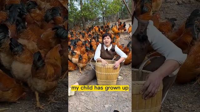 Single mother raises a son by running the chicken farm смотреть онлайн