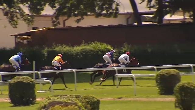 BA 24.06.2017 - Dostihy 1 - Cena Volkswagen Caddy Life смотреть онлайн