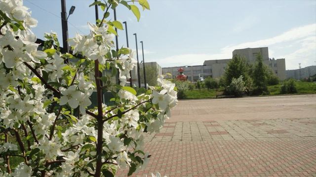 ♫. Иосиф Кобзон – «Вот снова этот двор», фото Усть-Илимск смотреть онлайн