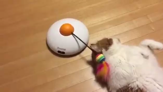 что вы знаете о лени... смотреть онлайн