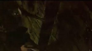 Сказка, рассказанная ночью 1981 год