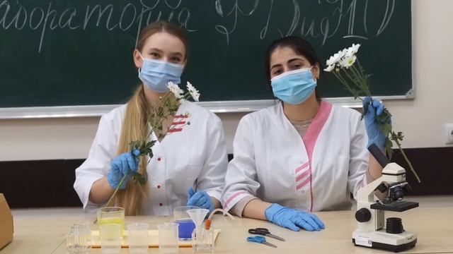 1 АГПУ, Ярмоленко и др.mp4 смотреть онлайн