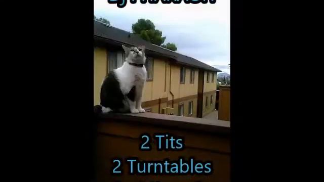 DJ Pharaoh 2 Tits 2 Turntables and a Microphone смотреть онлайн