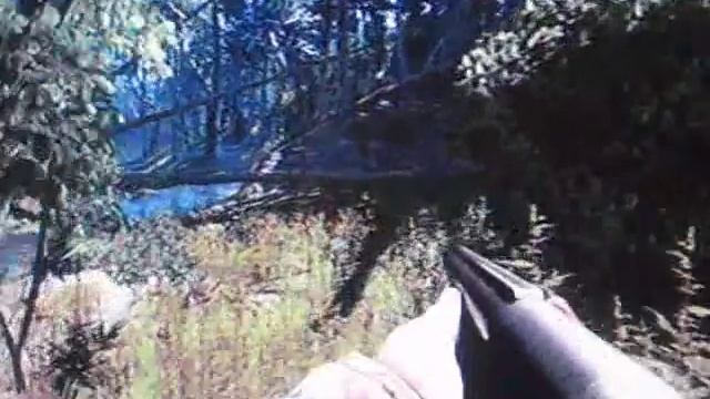 Cabela's big game hunter 2010.animal attacks смотреть онлайн