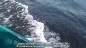 Самодельная лодка с мотор Syzyki DF4