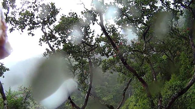 Rapelling in Maui смотреть онлайн