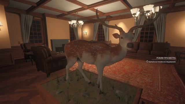 Трофейный Дом, Лучшие трофеи за прохождение, The Hunter Call of the Wild смотреть онлайн