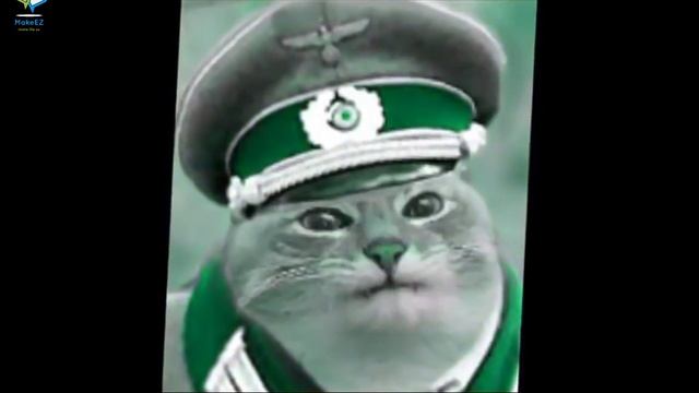 Айн цвай полицай смотреть онлайн