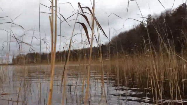 После пикника.  Снова на рыбалку.  Отдых в Карелии