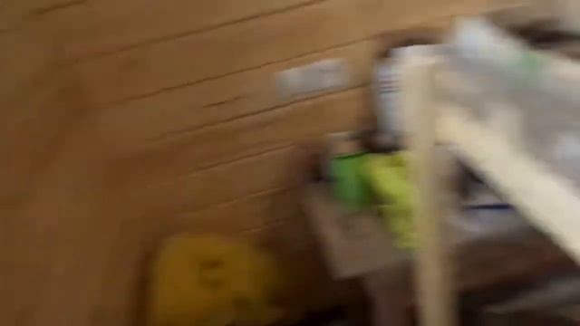 Состояние рассады на сегоднящий день смотреть онлайн