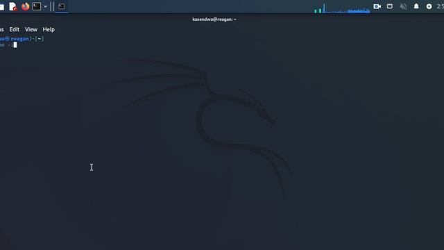 print the IP address of the machine смотреть онлайн