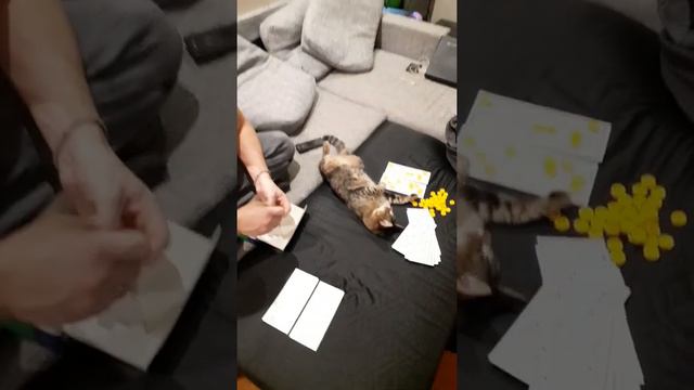 Мальчики играют в Лото:) смотреть онлайн